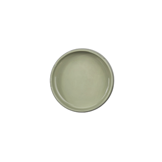 Autumn Sage Chalk Style Paint