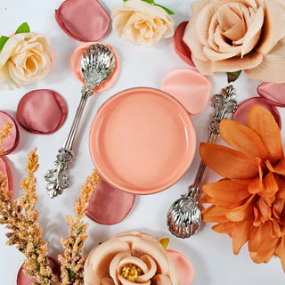 Coral Passion Chalk Style Paint