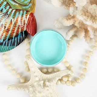 Moxie By the Sea Acrylic Mineral Paint