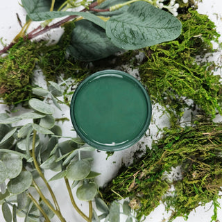 Evergreen Chalk Style Paint