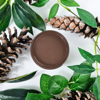 Pinecone Chalk Style Paint